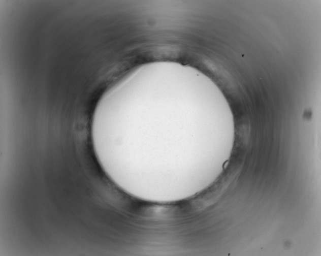 X0000103150323200809192035