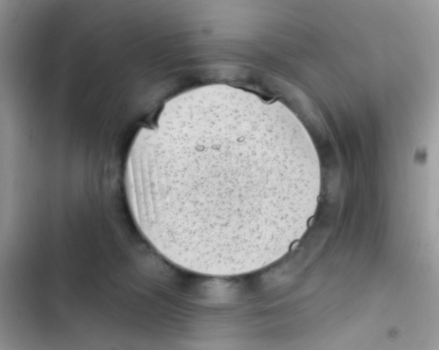 X0000103150326200809192035