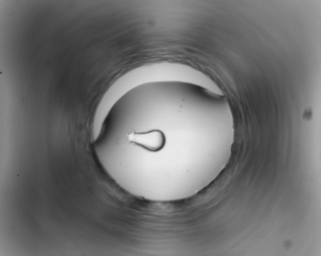 X0000103150328200809192035