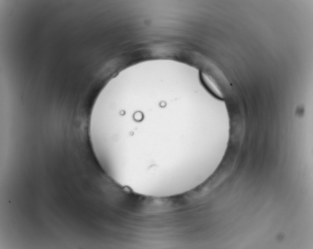 X0000103150329200809192035