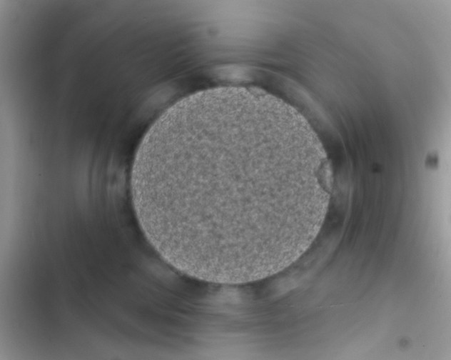 X0000103150330200809192035