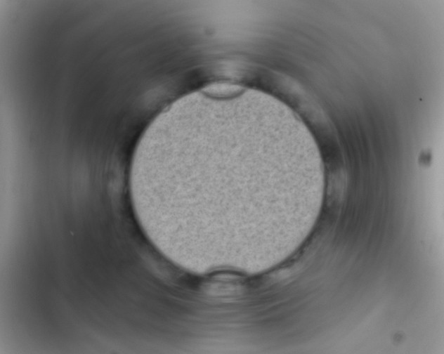 X0000103150331200809192035