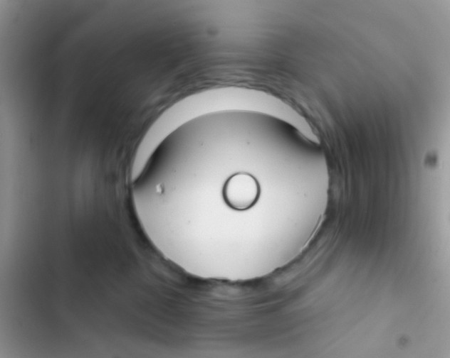 X0000103150332200809192035