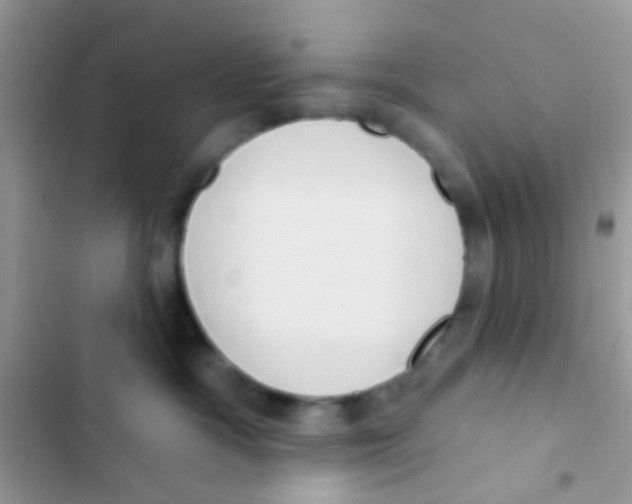 X0000103150333200809192035