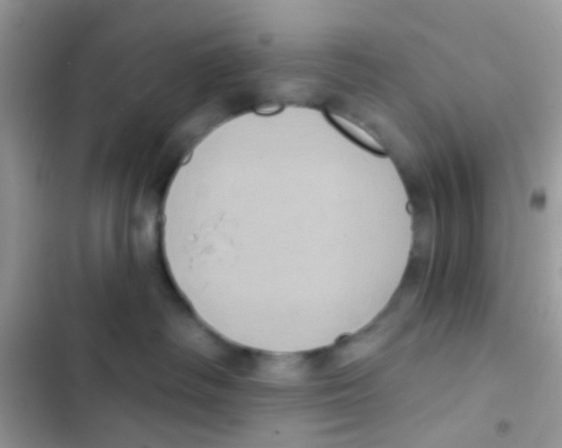 X0000103150334200809192035