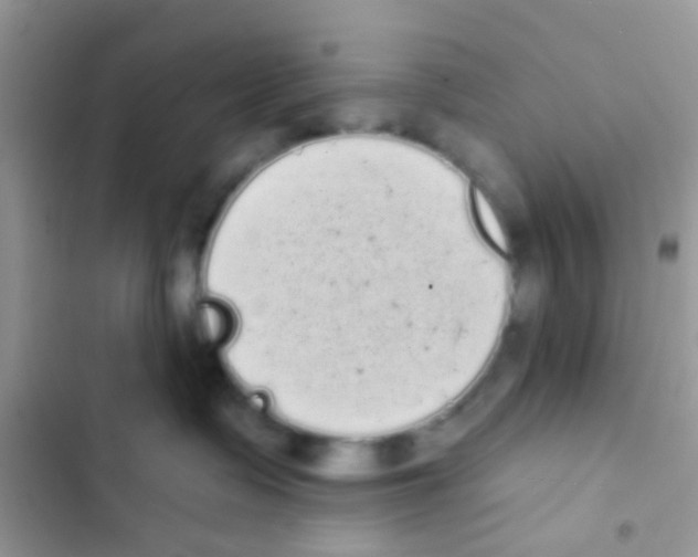 X0000103150335200809192035