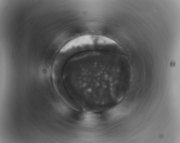 X0000103150336200809192035