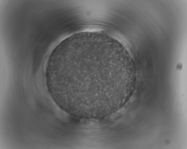 X0000103150337200809192034