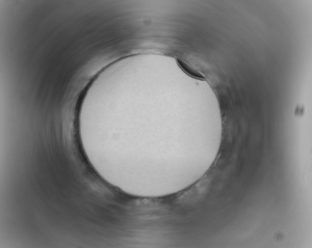 X0000103150338200809192034