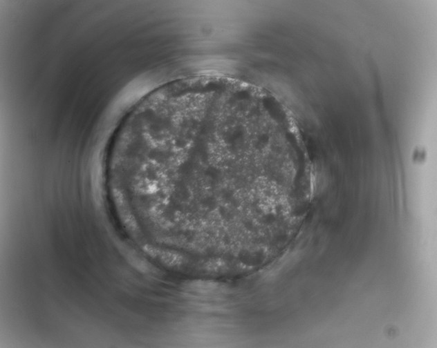 X0000103150339200809192034