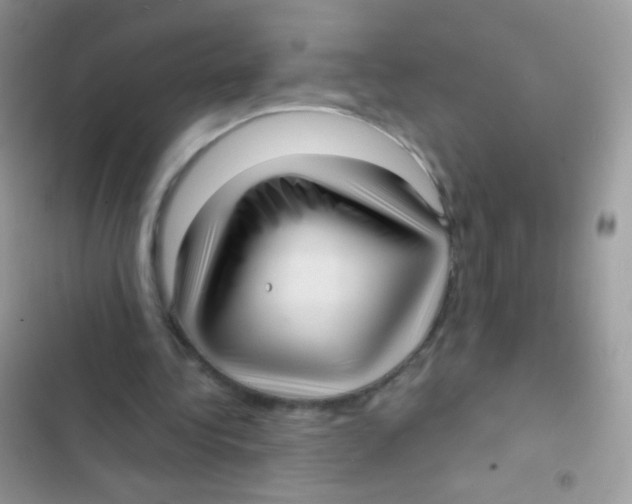 X0000103150340200809192034