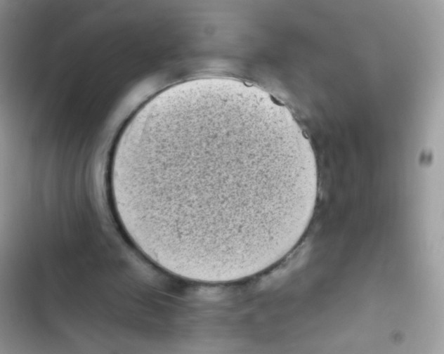 X0000103150341200809192034