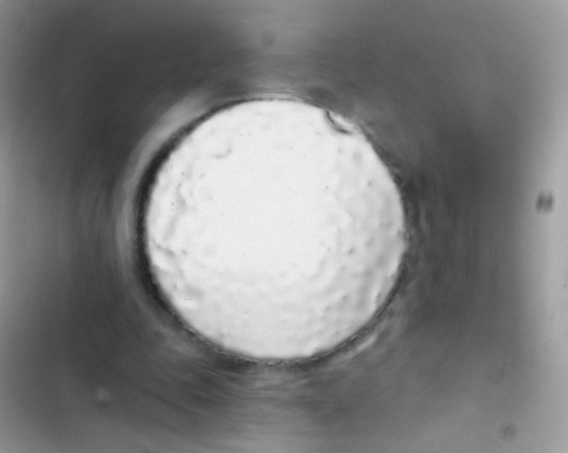 X0000103150343200809192034