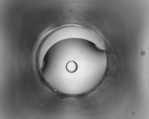 X0000103150344200809192034