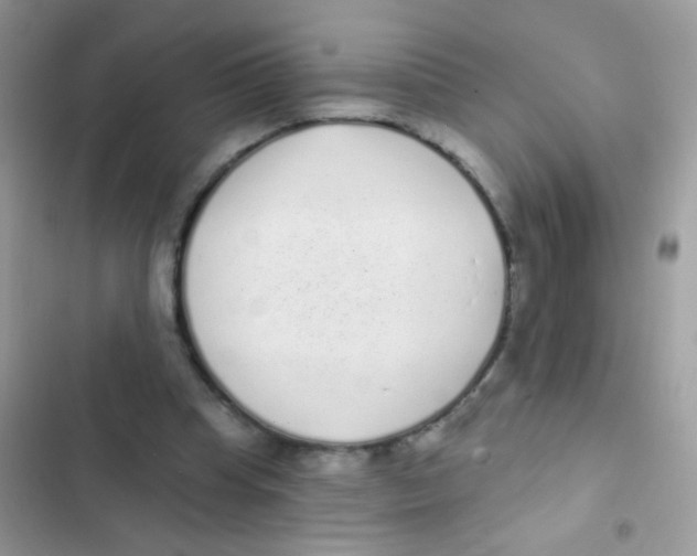 X0000103150345200809192034