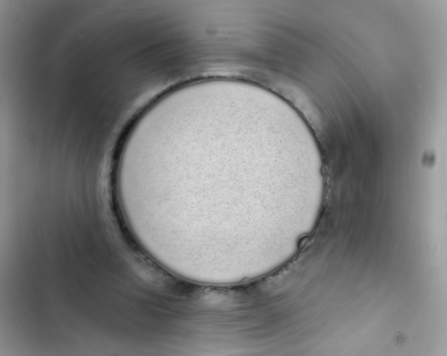 X0000103150346200809192034