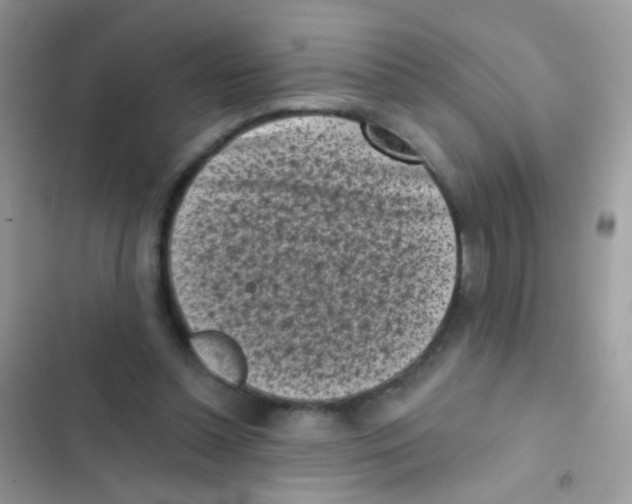 X0000103150348200809192035