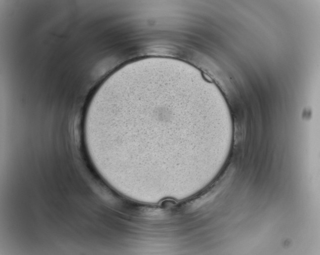 X0000103150349200809192035