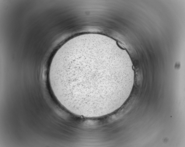 X0000103150350200809192035