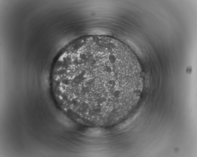 X0000103150351200809192035