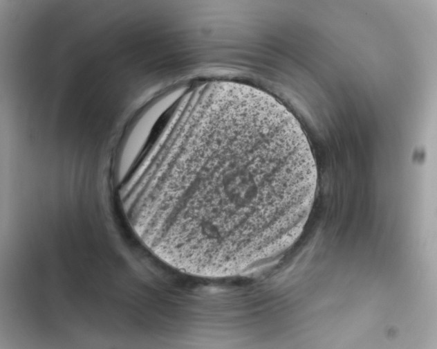 X0000103150352200809192035