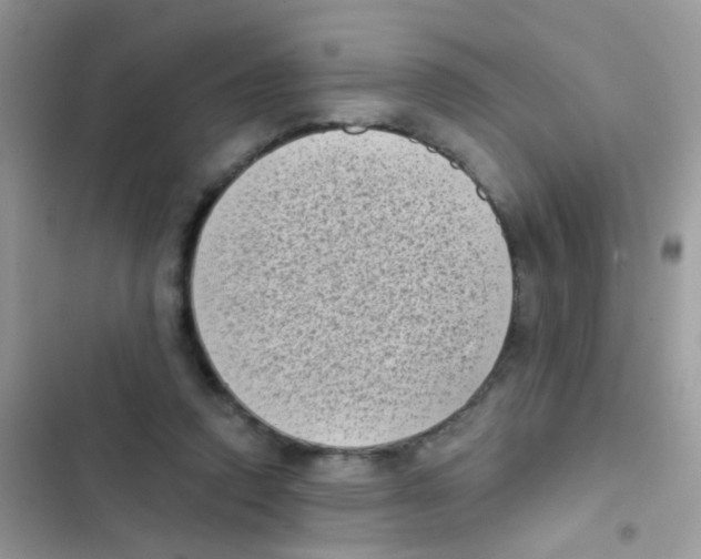 X0000103150354200809192035