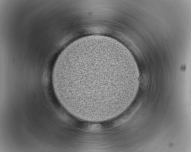 X0000103150355200809192035