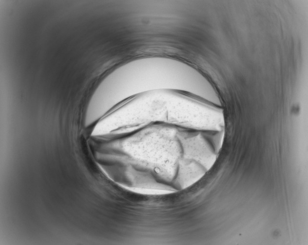 X0000103150356200809192035