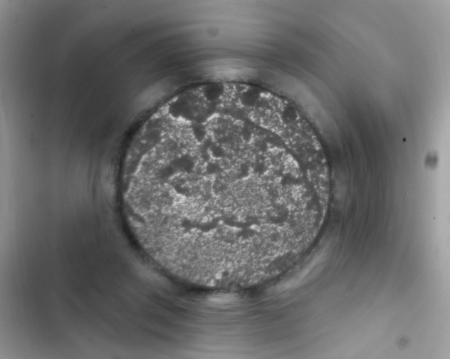 X0000103150357200809192035