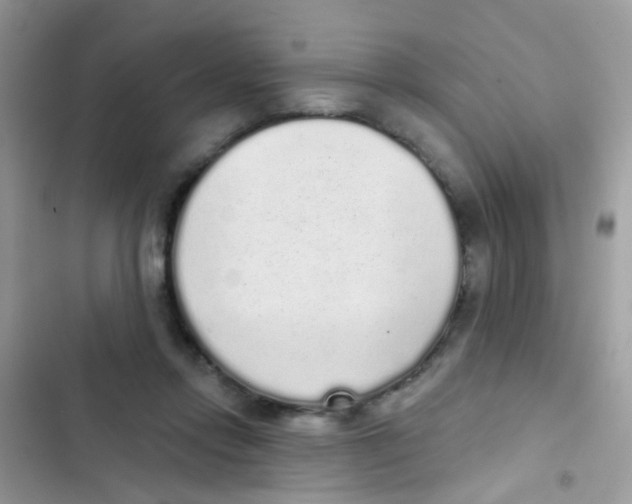 X0000103150358200809192035