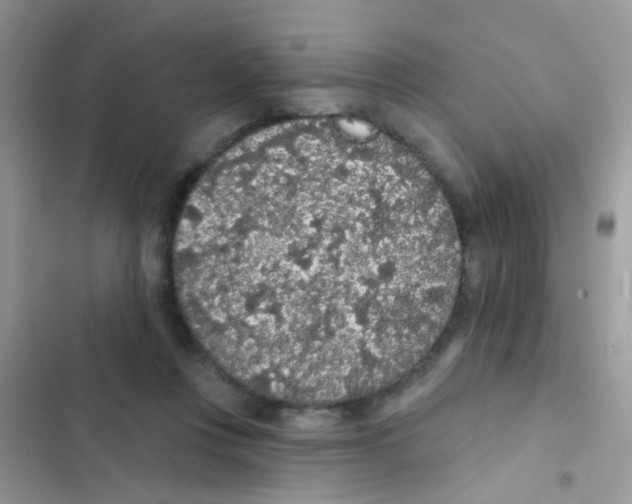 X0000103150359200809192035