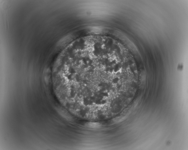 X0000103150361200809192035