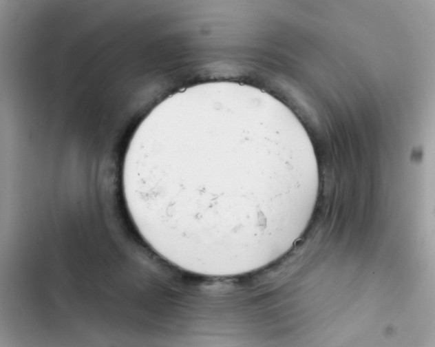 X0000103150362200809192035