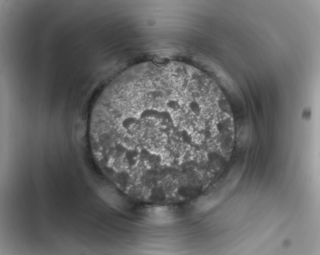 X0000103150365200809192035