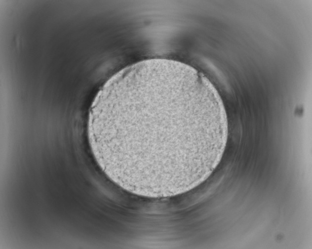 X0000103150366200809192035