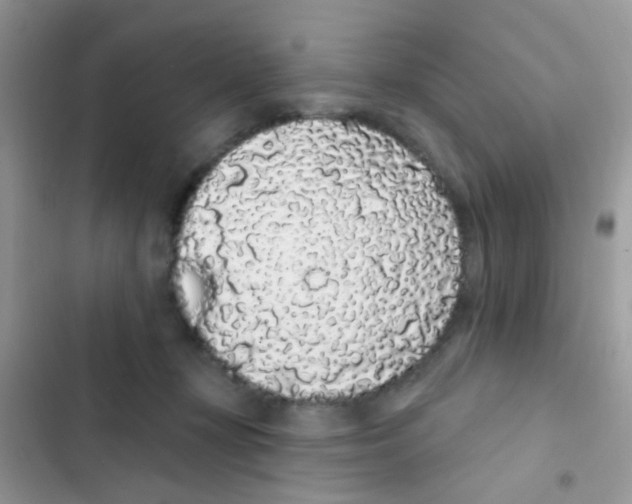 X0000103150367200809192035