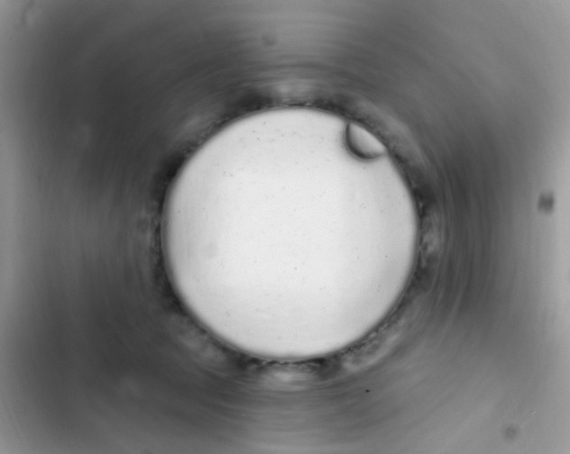 X0000103150369200809192035