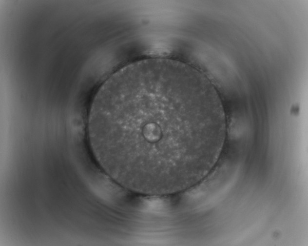 X0000103150370200809192035