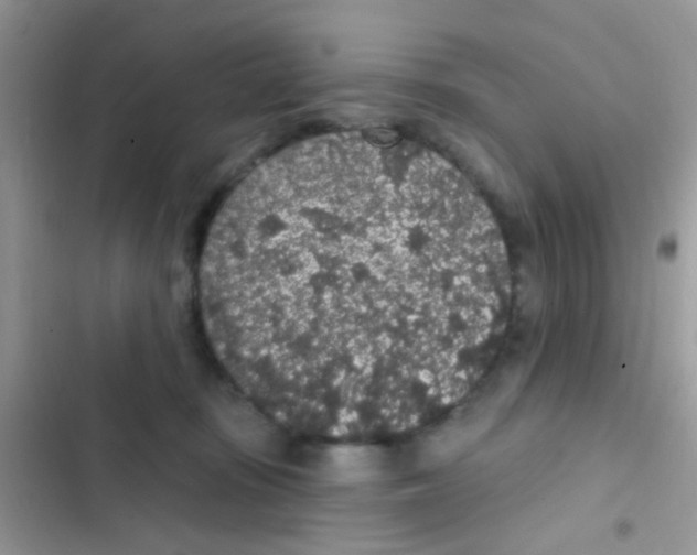 X0000103150371200809192035