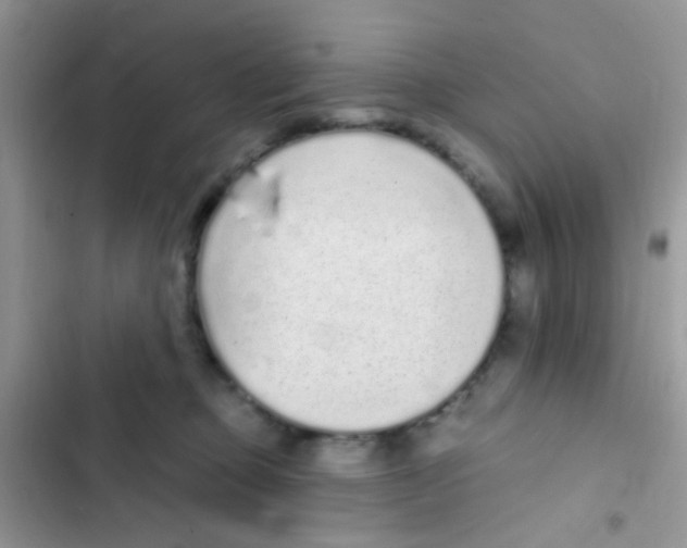 X0000103150373200809192035