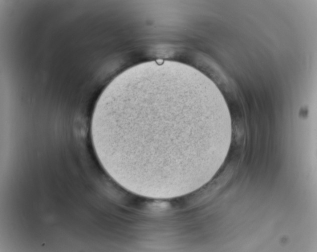 X0000103150374200809192035