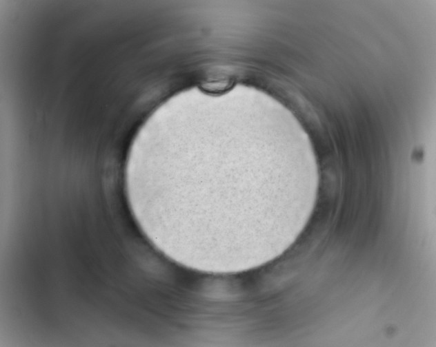 X0000103150375200809192035