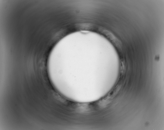 X0000103150377200809192035