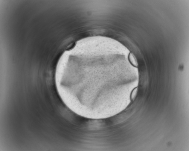 X0000103150378200809192035