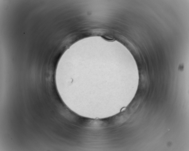 X0000103150379200809192035