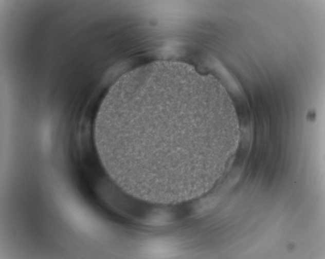 X0000103150381200809192035