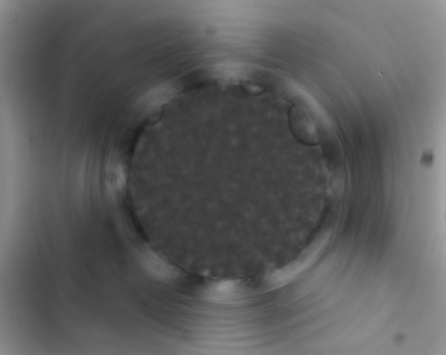 X0000103150382200809192035