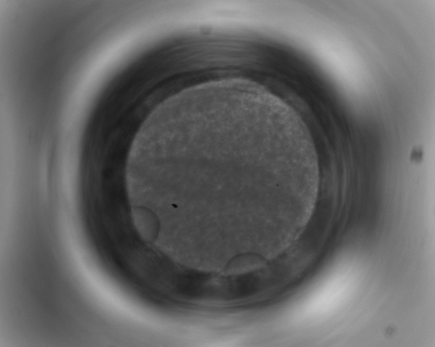 X0000103150383200809192035