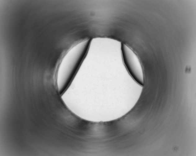 X0000103150384200809192035