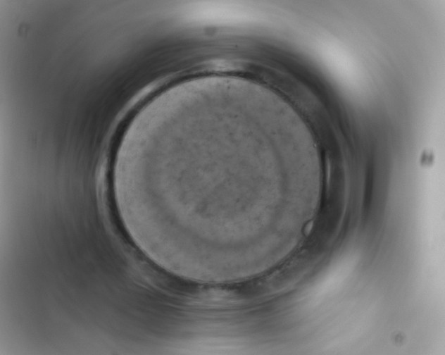 X0000103150387200809192034